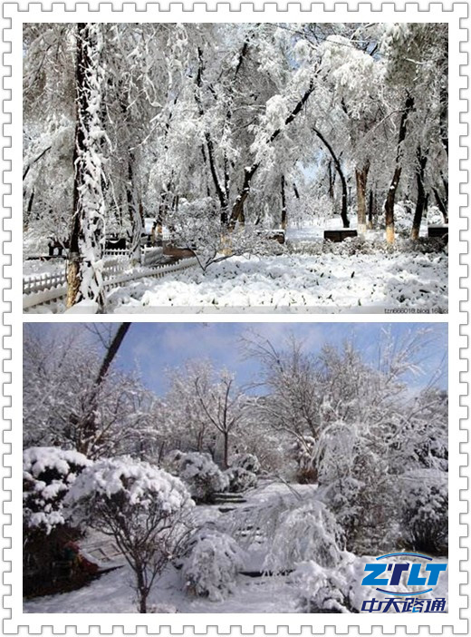 美丽的雪景